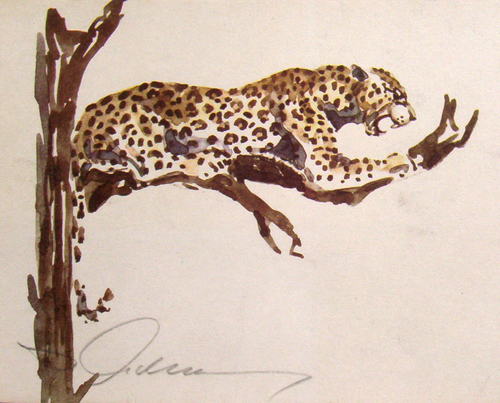 Bild Leopard von Uli Aschenborn